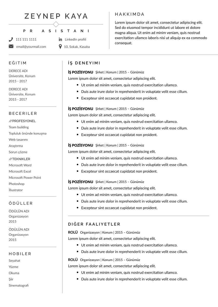 Modern CV Şablonları